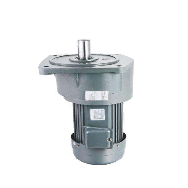 Pystysuuntainen pieni AC-vaihteistomoottori