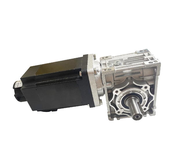 Magandang Kalidad BLDC Brushless DC Gear motor na may Worm Gear Box