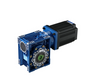 Magandang Kalidad BLDC Brushless DC Gear motor na may Worm Gear Box